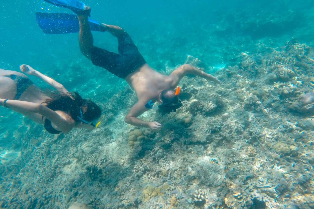 Tiago and Fernanda finding Nemo snorkelling in the Gili islands