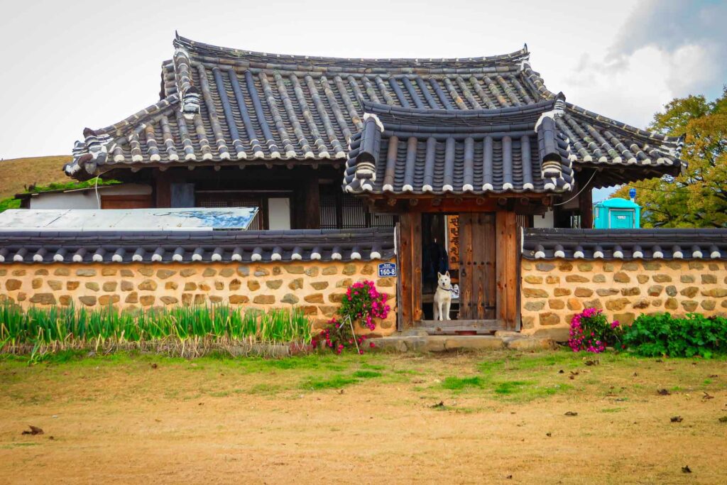 Uma casa tradicional coreana com um cachorro branco na porta