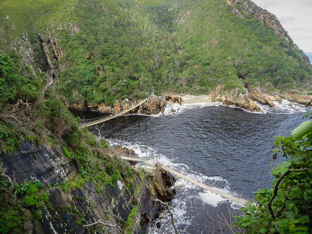 vista de cima do Tsitsikama park na África do Sul