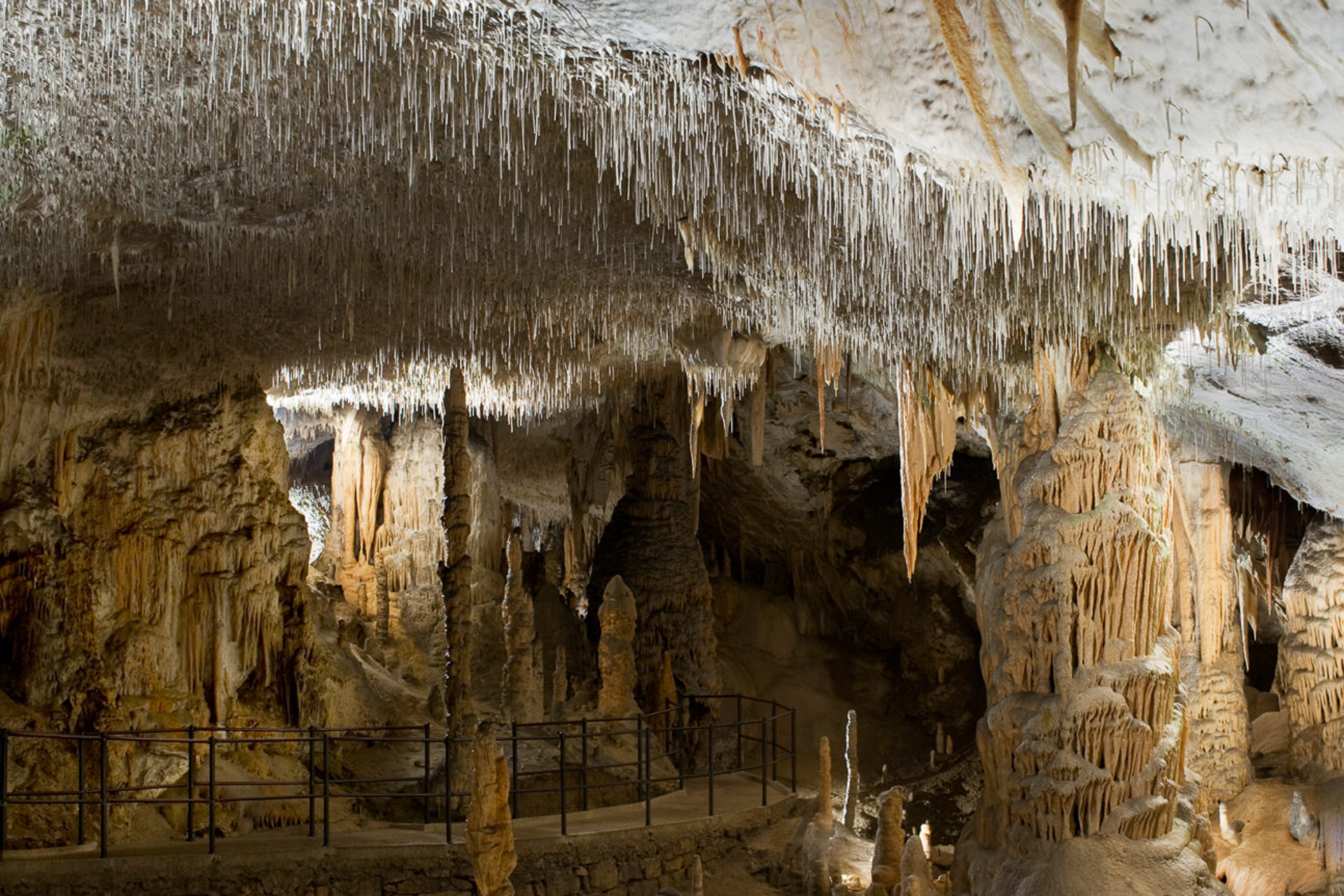 Um salão dentro da caverna de Postojna com muitas formações rochosas pequenas e finas saindo do teto, parecendo espagueti