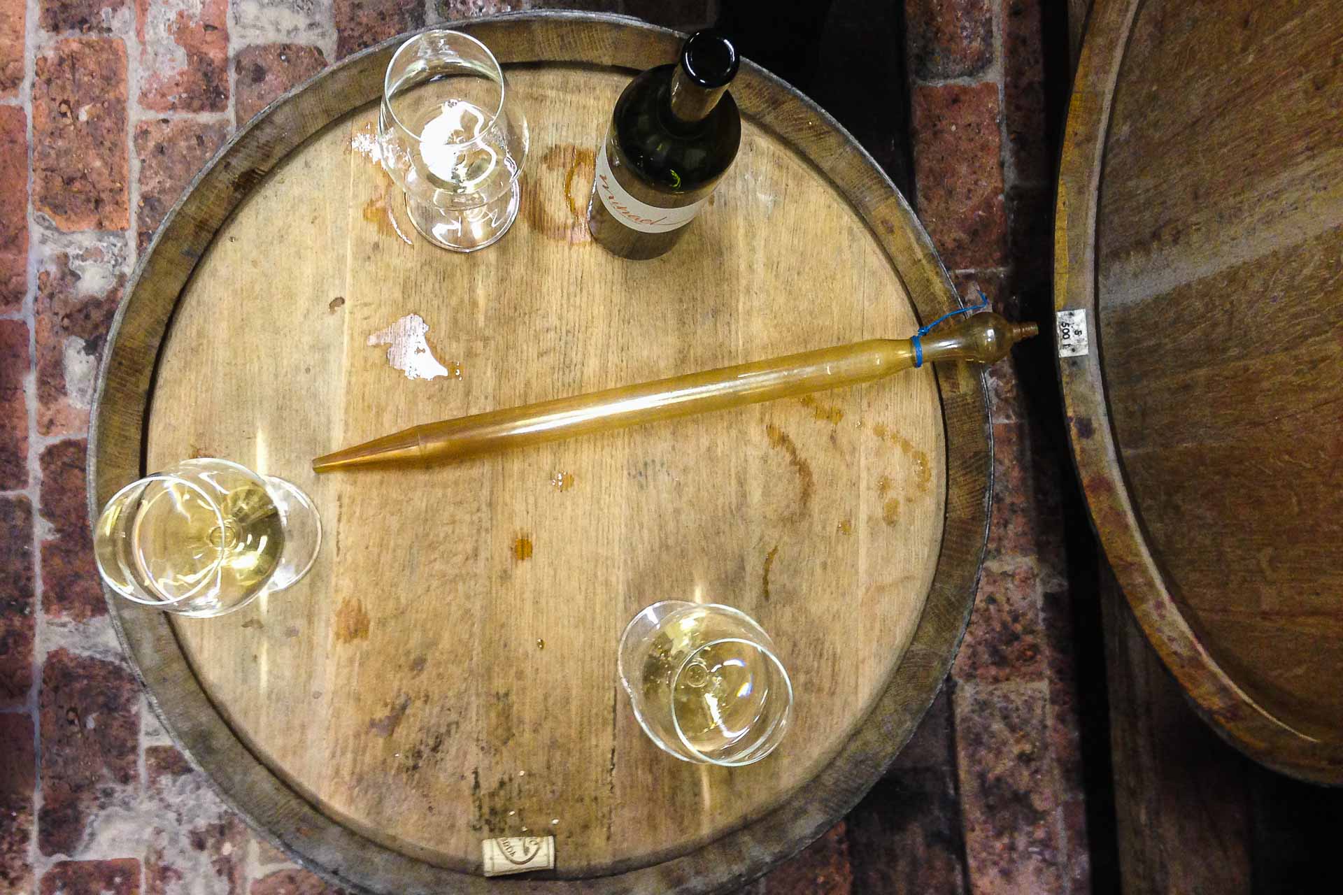 Glasses of wine on top of a barrel in a cellar with a bottle of wine and a tool to taste wine in Brda Slovenia