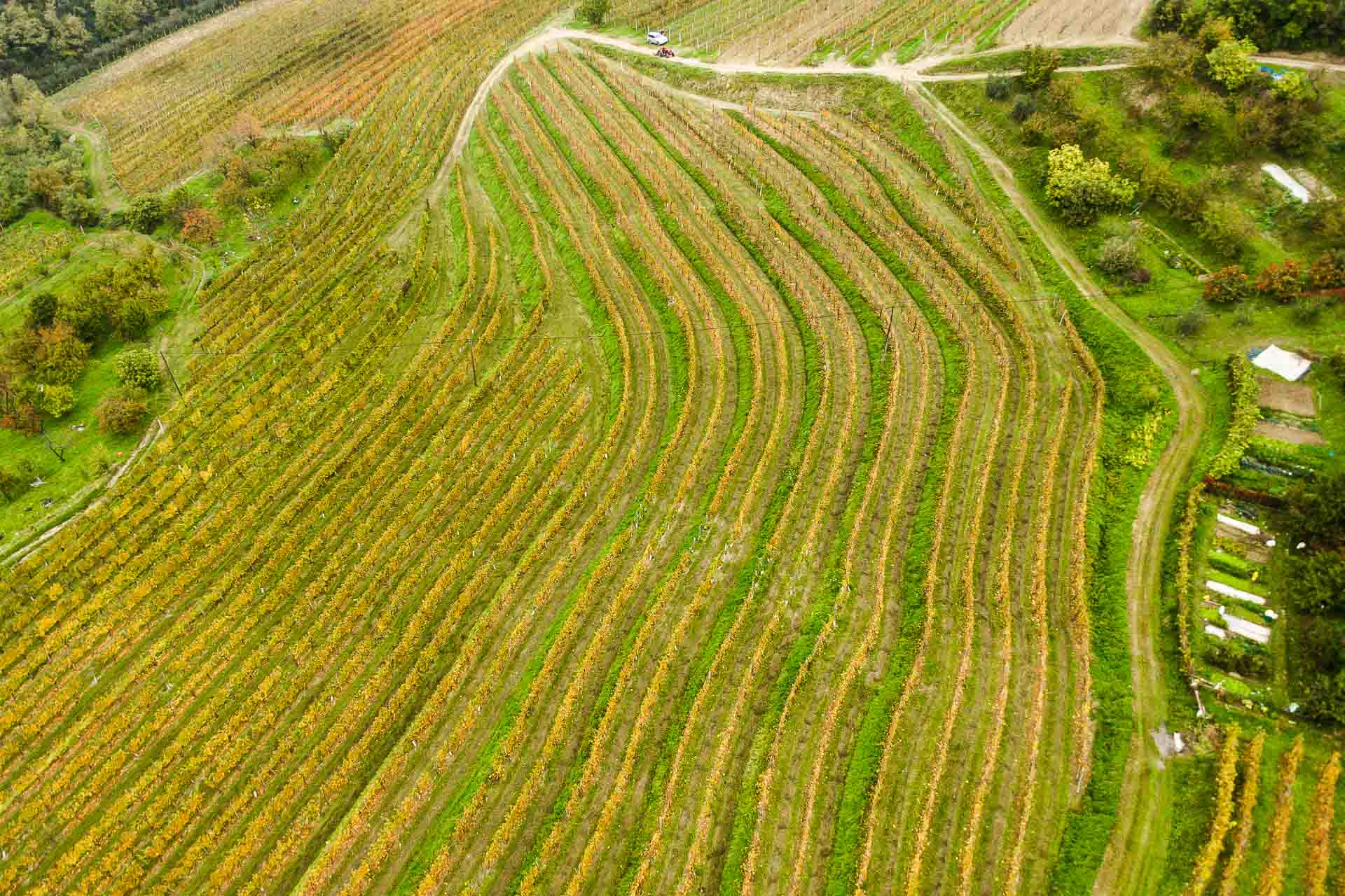 Vista aerea dos vinhedos de Brda