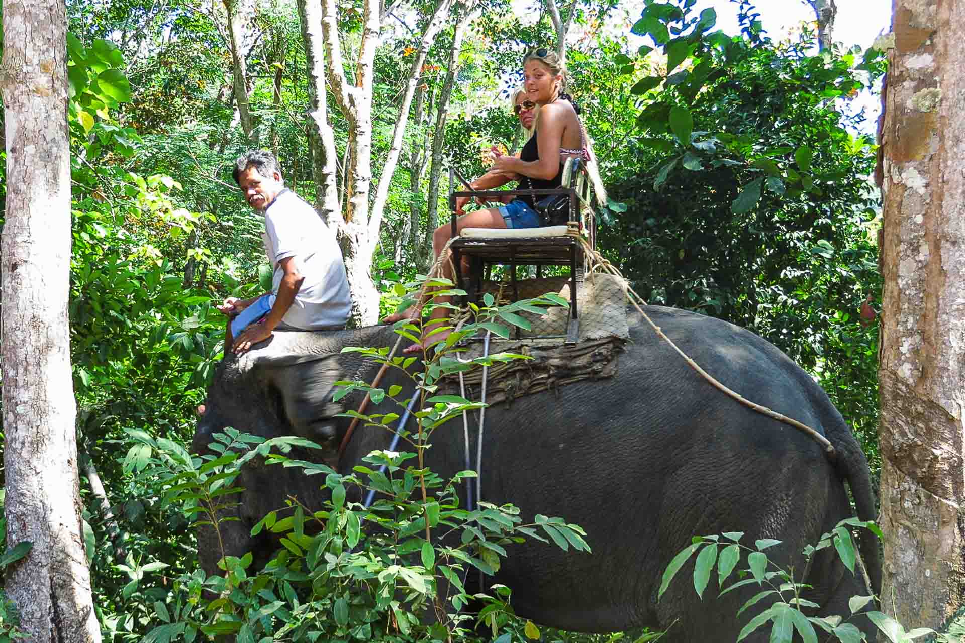 Two girls riding on an elephant sitting on a chair on his back and a man sitting on the elephant's neck