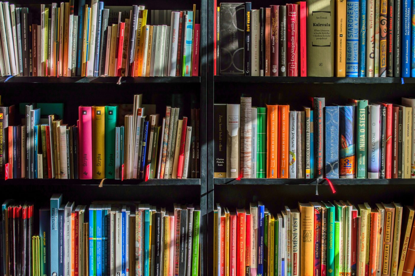 A shelf full of books for travel lovers