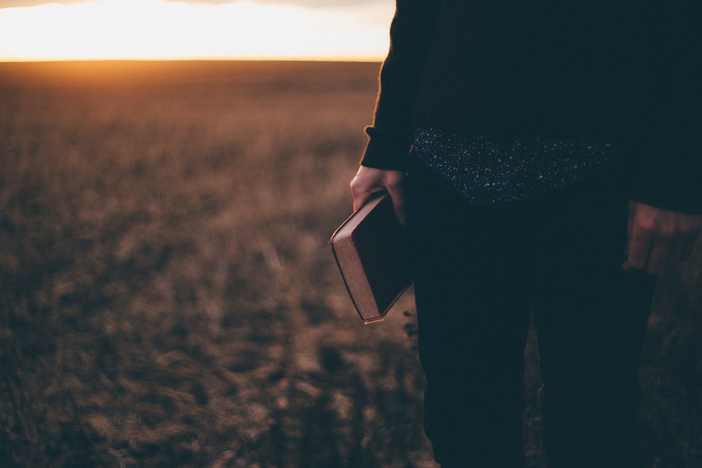 A person holding a book while enjoying the sunset