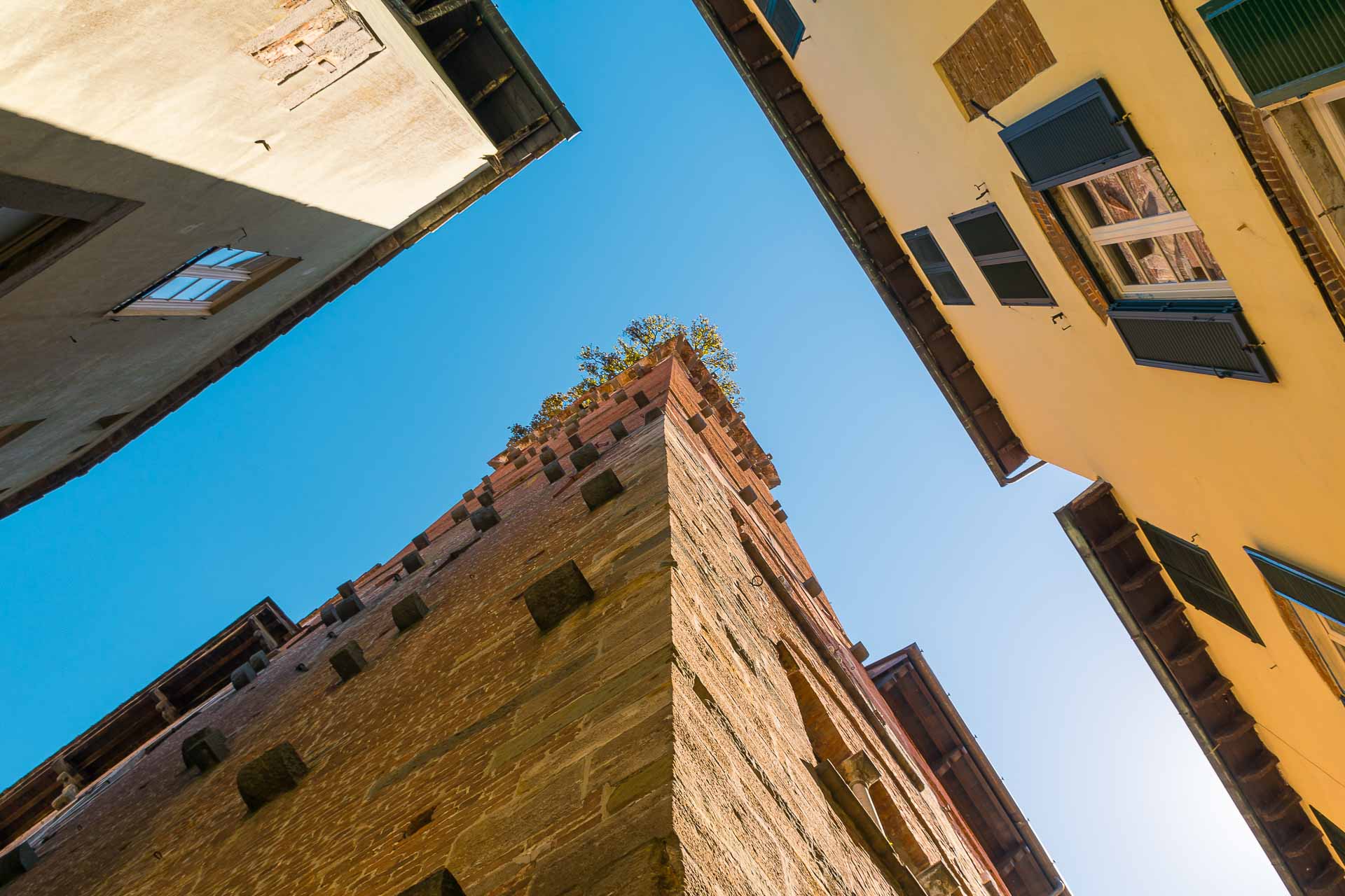 a 90 degrees low angle shot of the Guinigi tower and other two buildings in the city center of Lucca