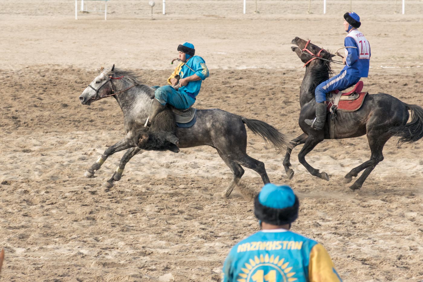 Man riding a horse while holding a dead goat during the dead goat polo sport known as kok buru