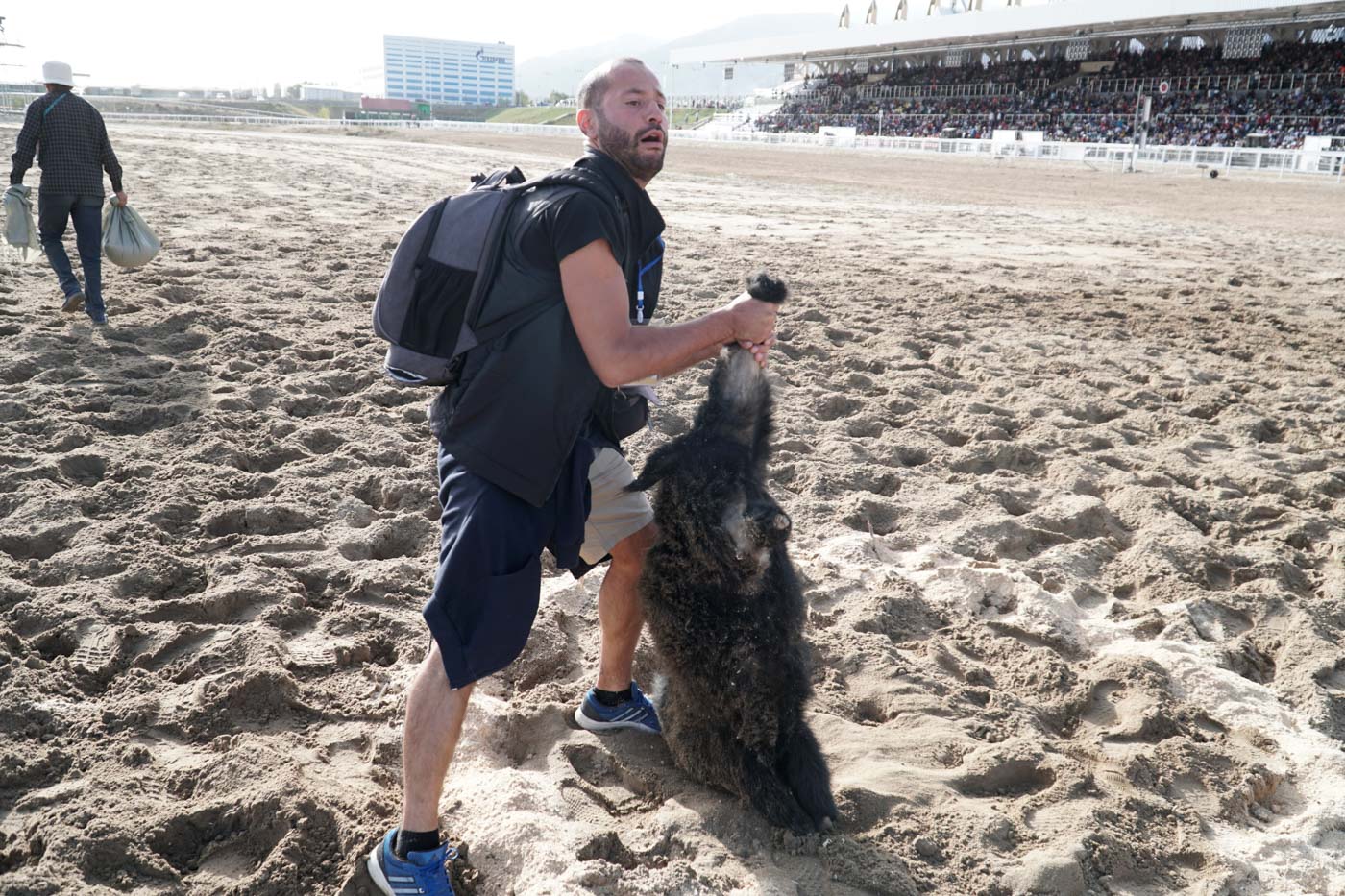 Tiago picking up the dead goat from the floor at the Kok Buru arena during the World Nomad Games in a world nomads competition