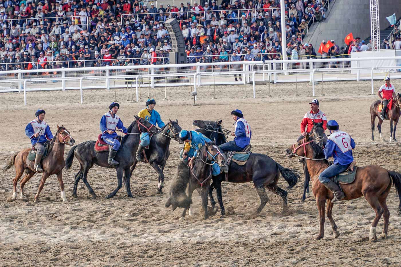 A man on a horse picking up a dead goat from the floor during the dead goat polo game at the world nomads competition