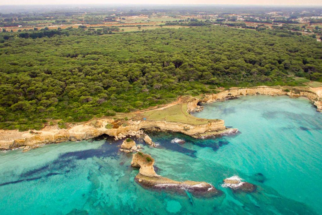 Aerial view of a national park in Puglia with crystal clear sea water and large cliffs in front of a massive forest