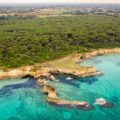 Vista aerial do parque nacional da Puglia e sua água cristalina e penhascos na frente de uma floresta