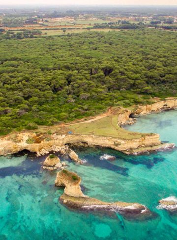 Vista aerial do parque nacional da Puglia e sua água cristalina e penhascos na frente de uma floresta