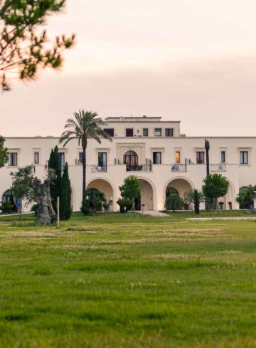 a large building in the background and a small tree in the foreground