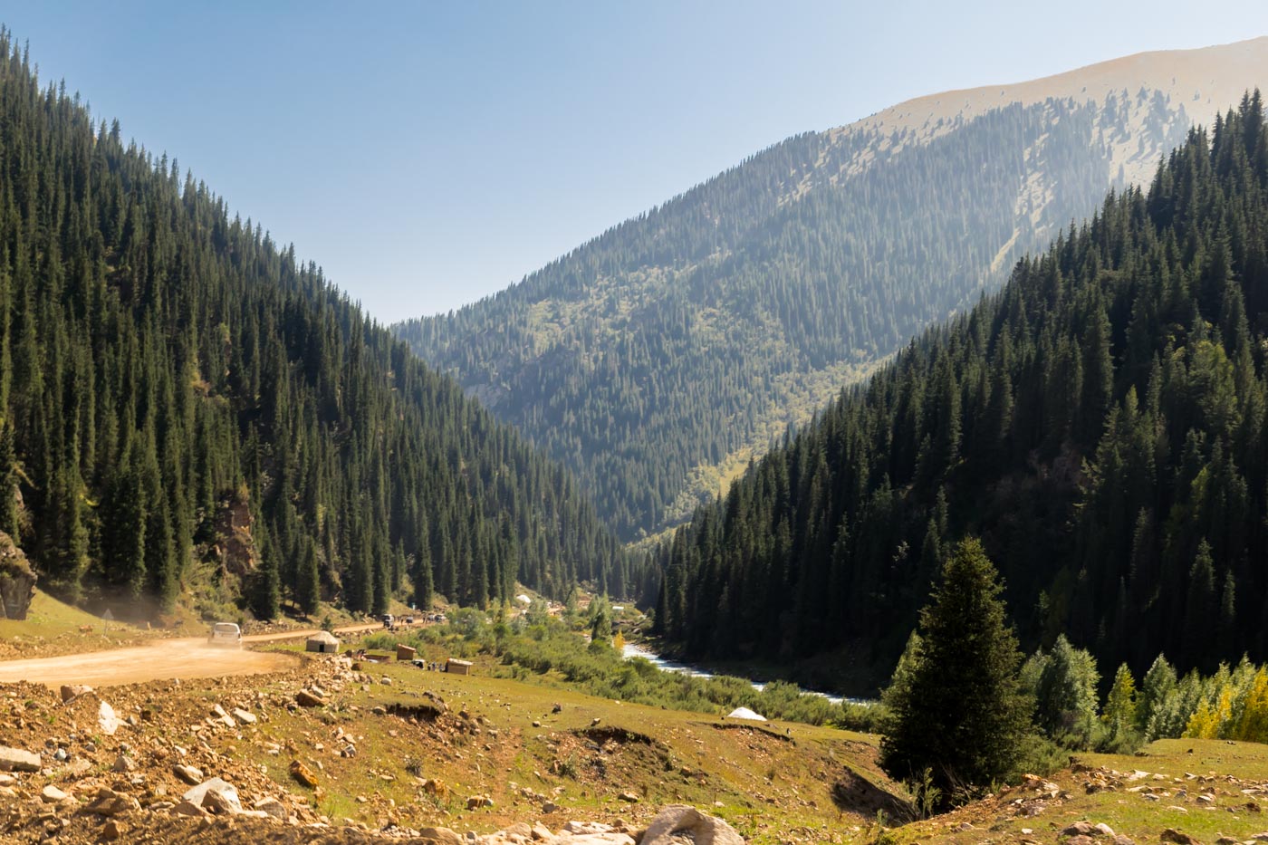 A valley in Kyrgyzstan with pine trees downhill and a mountain in the background