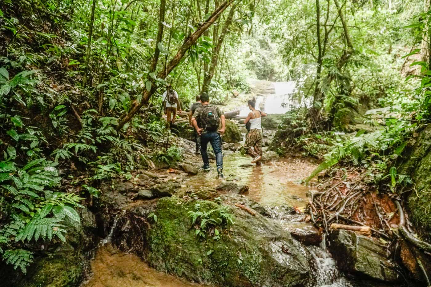 people walking in the forest with a river