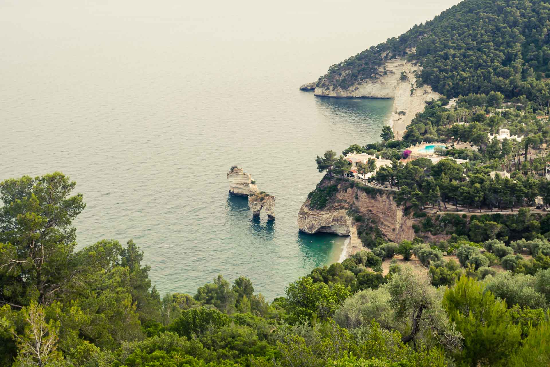 an overview of a beach with many tress and a rock arch on the water