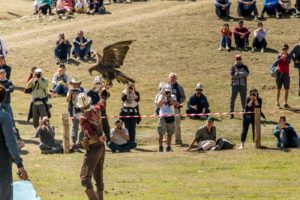 Kyrgyzstan tourist attractions man holding and eagle at a presentation during the world nomad games