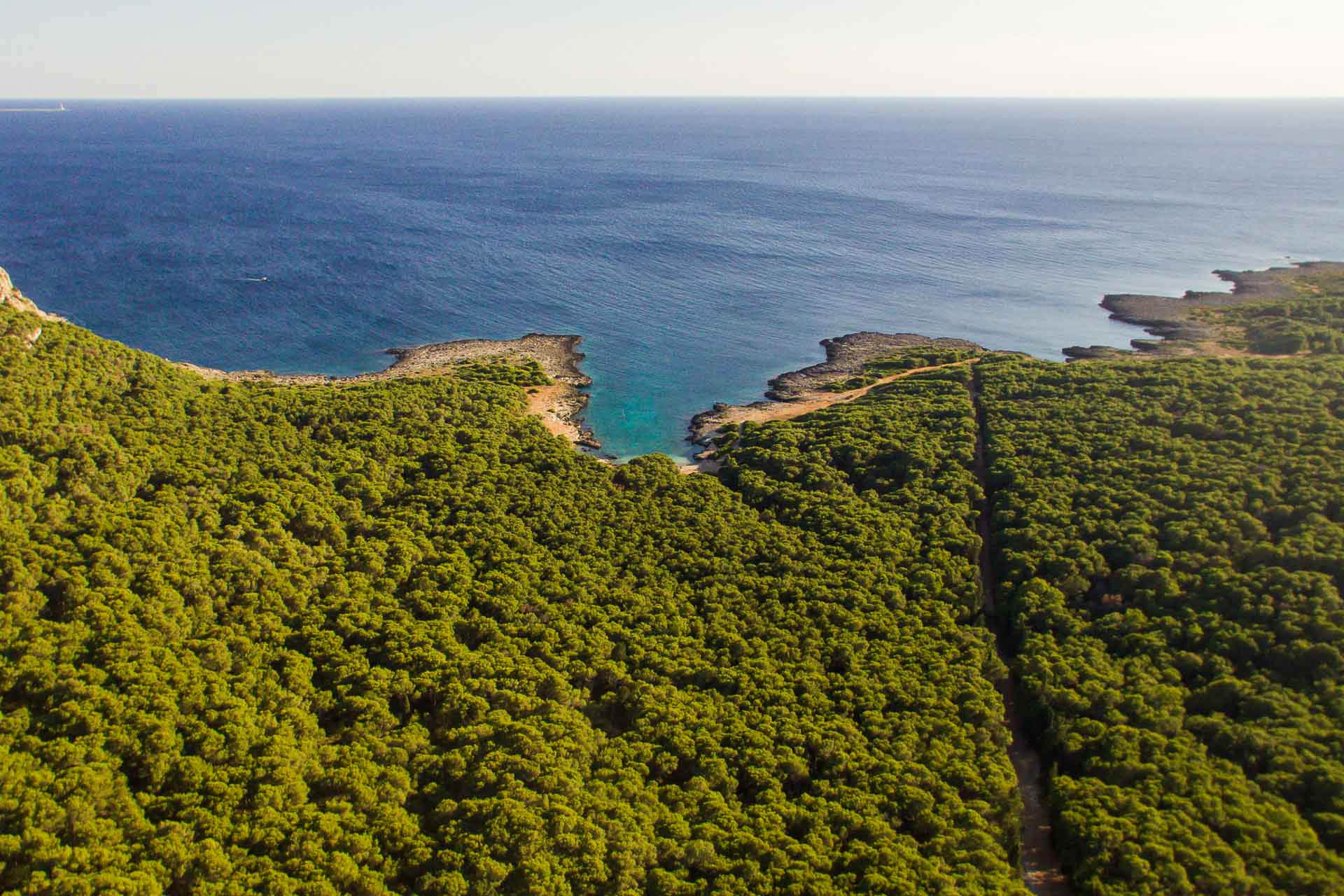 Vista aérea de Porto Selvaggio com muita mata na beira do mar