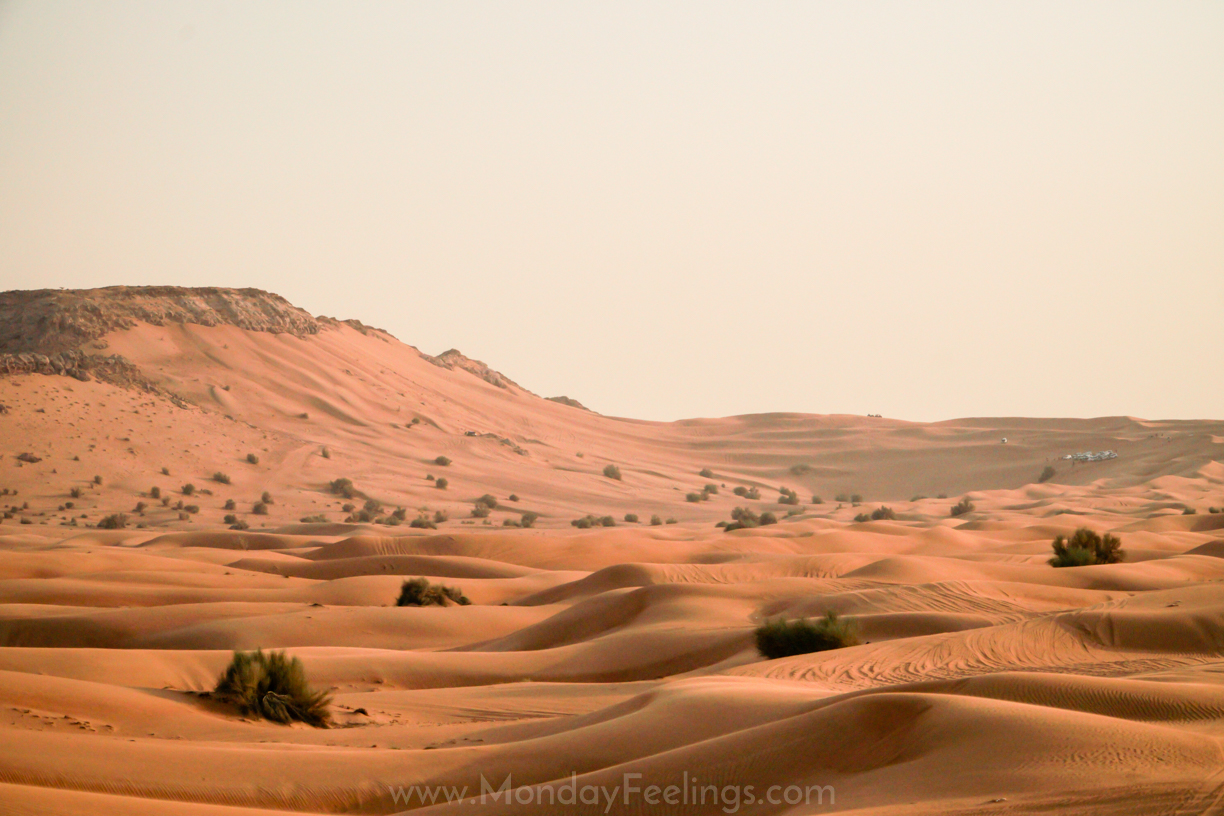 Dunes at the Dubai desert during the safari tour