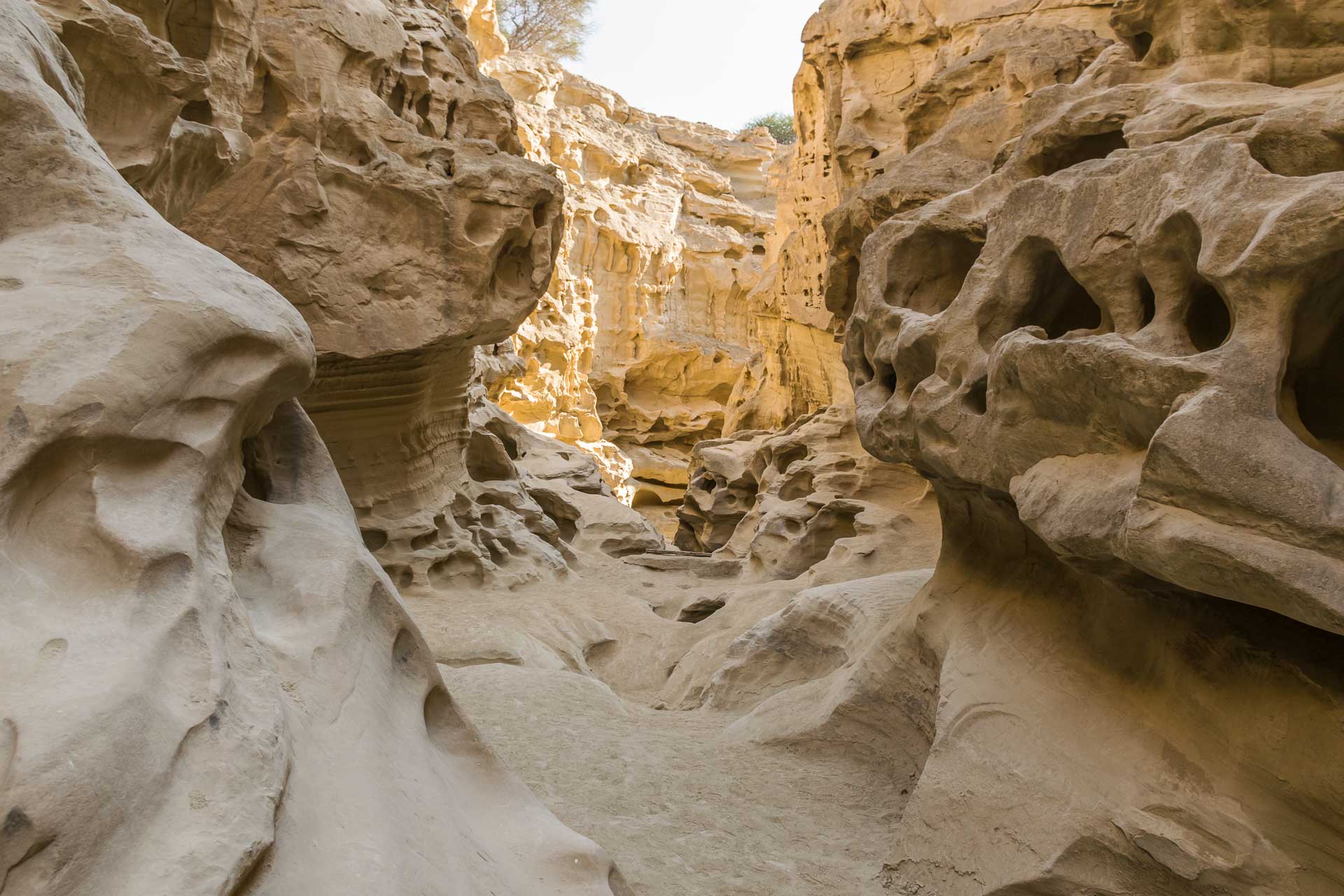 Way into walls in the desert with many rock formations