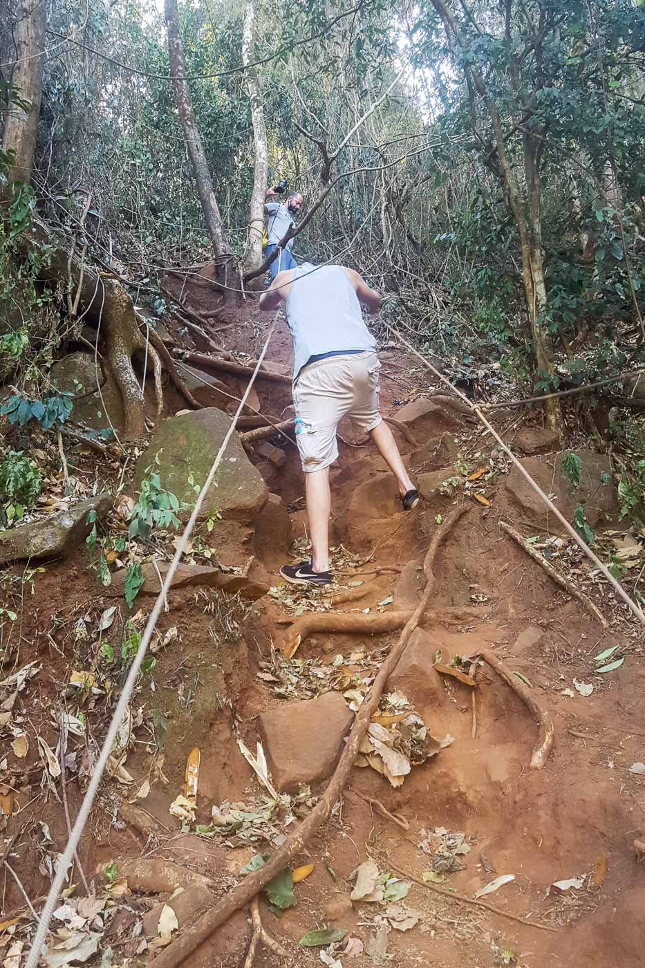 Climb down the forest with the help of a rope to get to the waterfall in Brazil