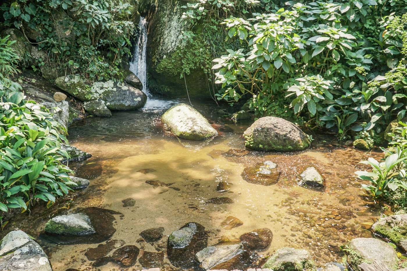 A small waterfall from the trees into a large pond surrounded by green