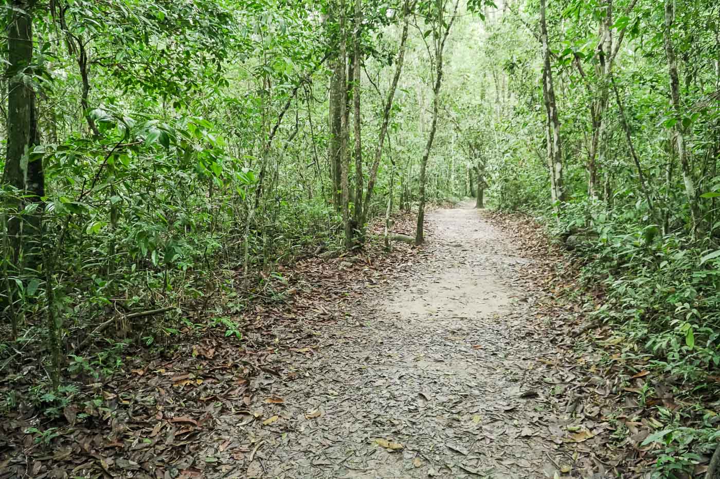 Trilha da Casca D'Anta no Parque da Canastra em São Roque de Minas