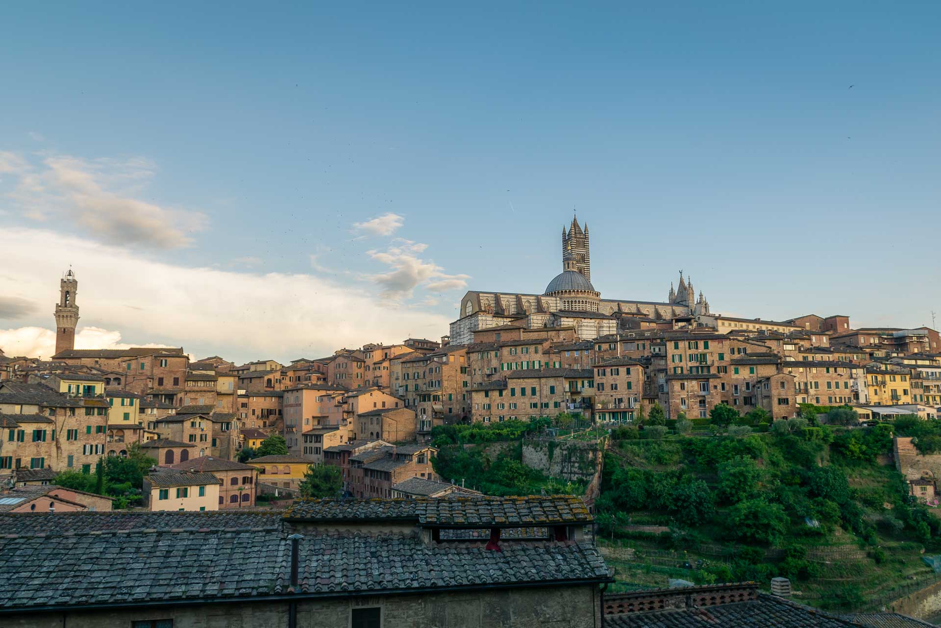 A panorama view of the Siena Town in Tuscany