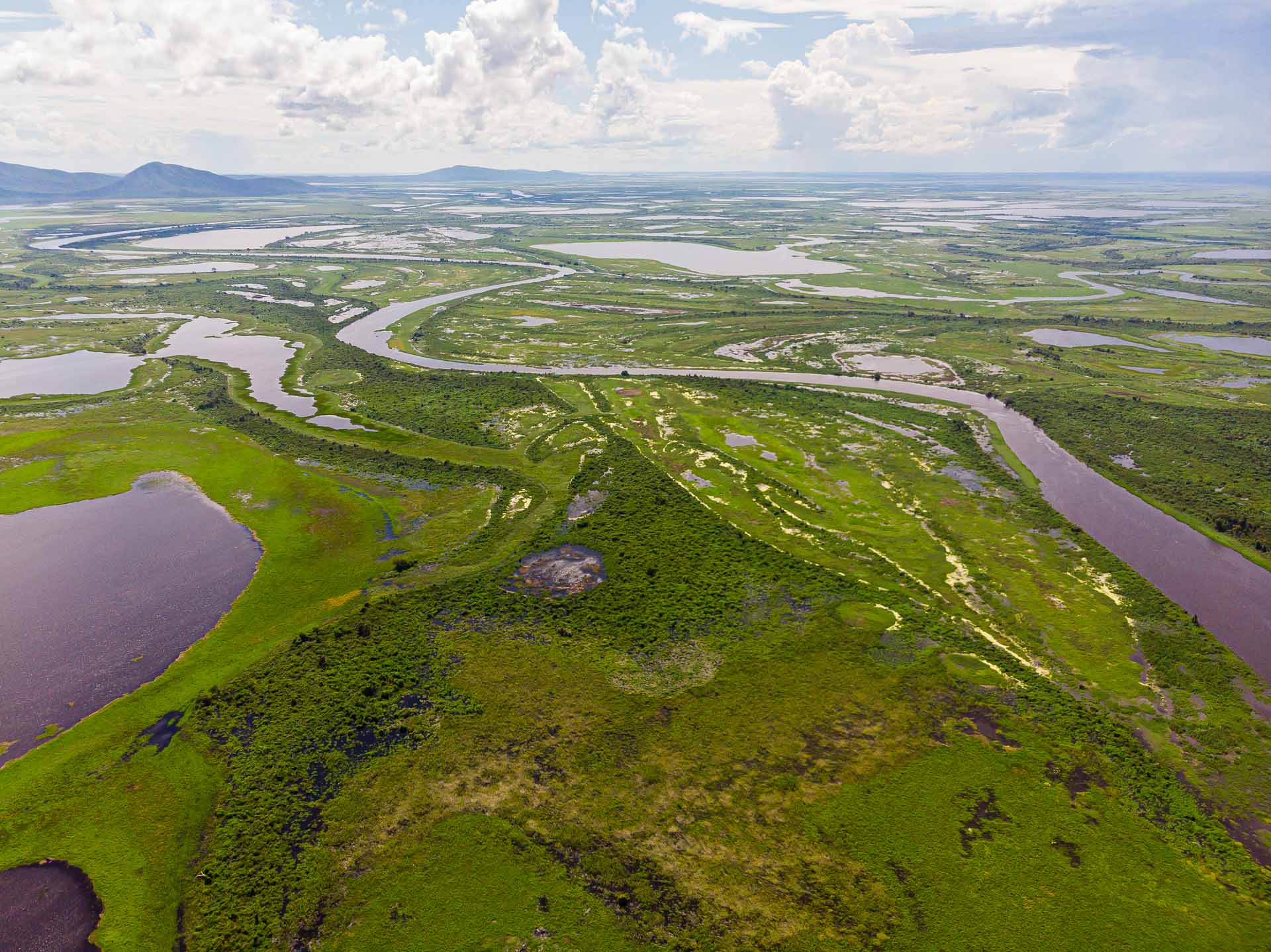 Vista aérea do Pantanal com áreas alagadas