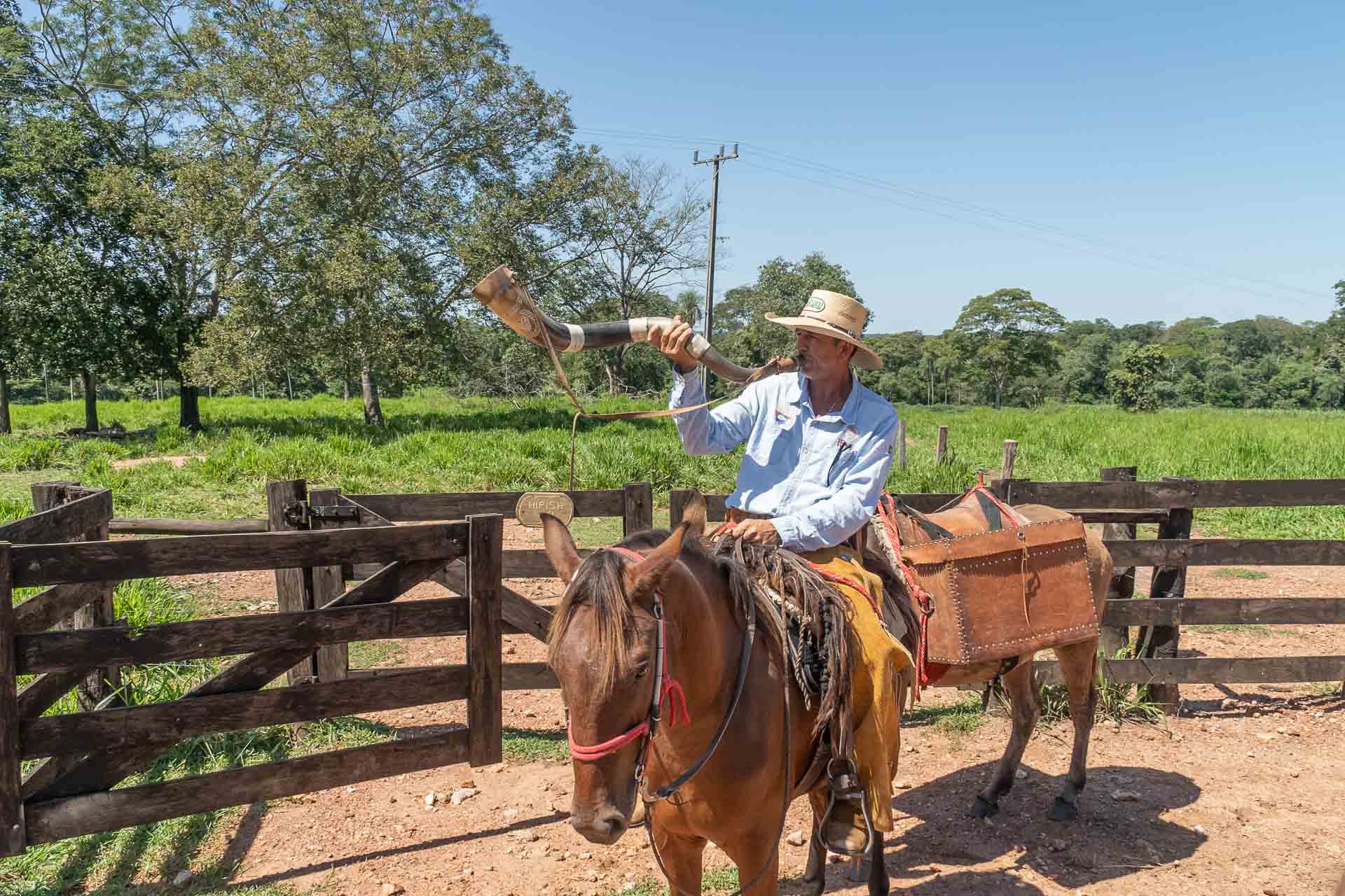 A man on a horse playing the berrante in Pantanal