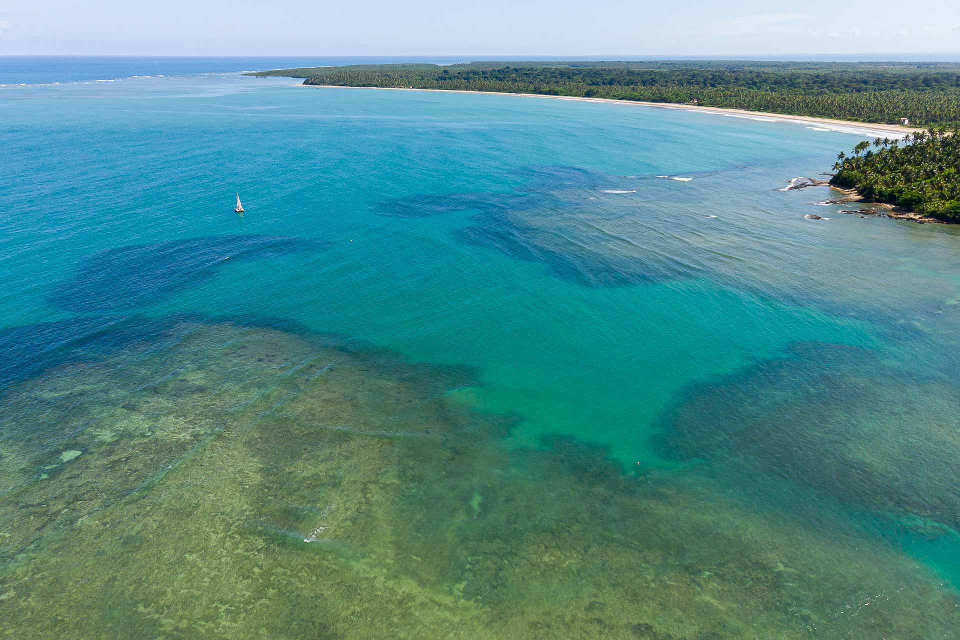 Vista aerea de um mar cheio de corais com uma praia larga ao fundo rodeado de mata