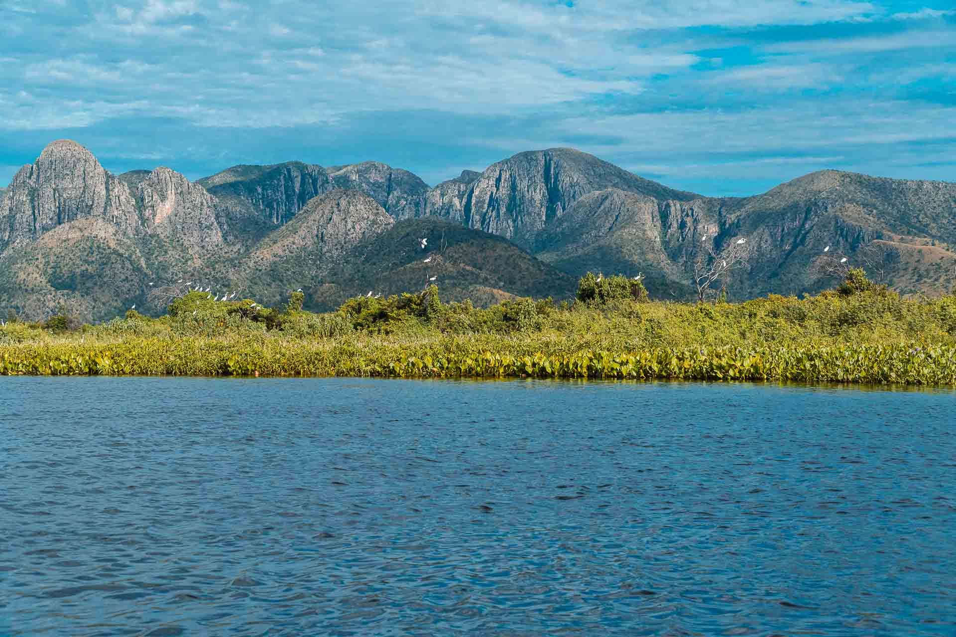 A Serra do Amolar ao fundo com o rio na frente e pasaros em arvores entre a montanha e o rio