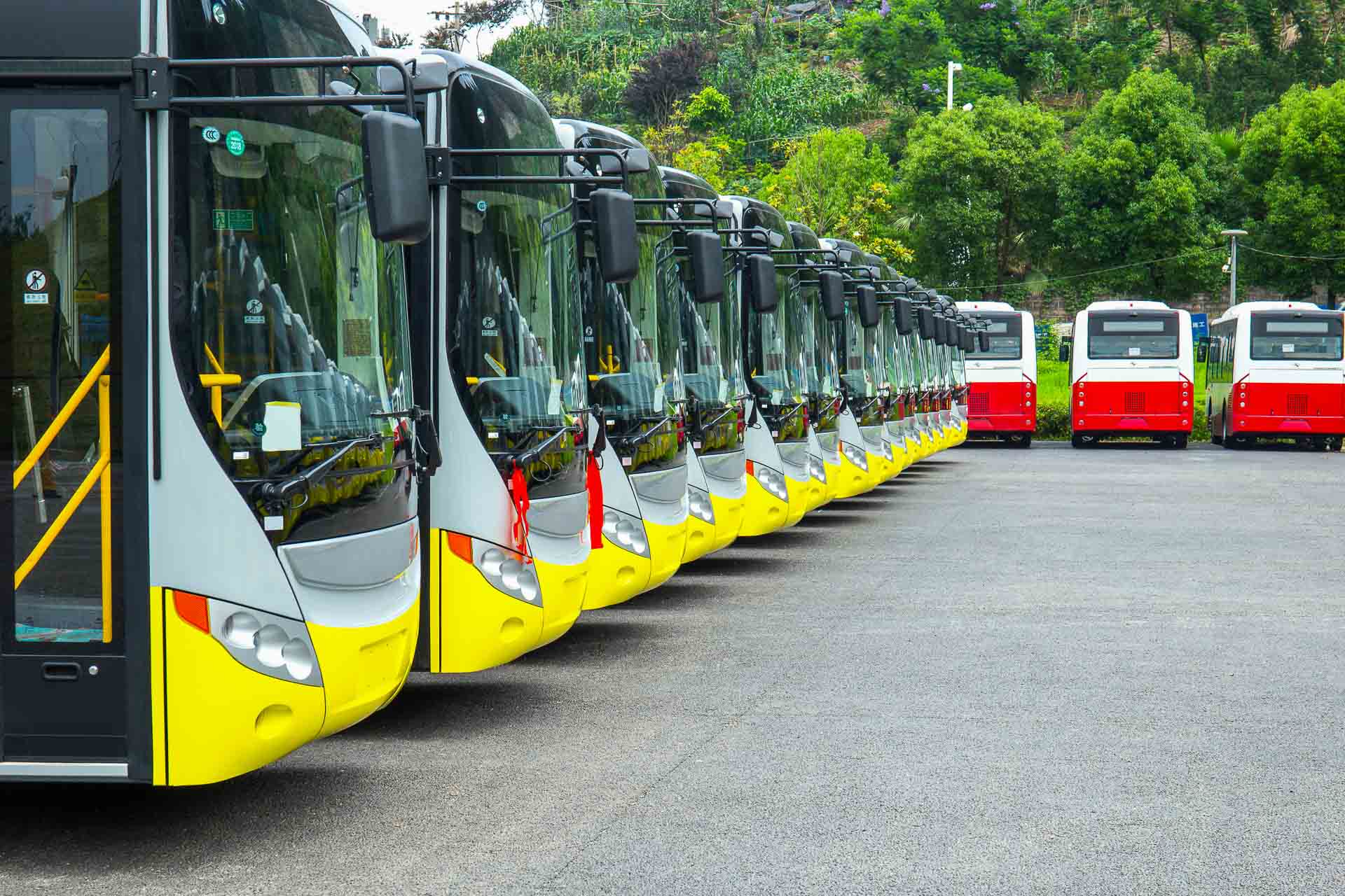 a line of buses parked