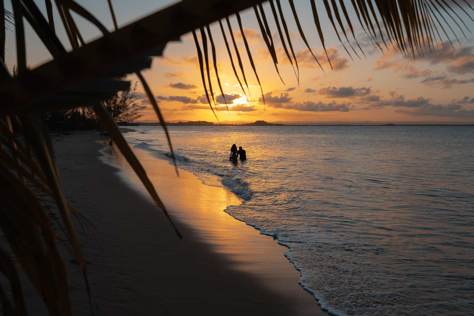 The sun setting in the horizon with a couple in the water and a coconut tree leave framing the photo