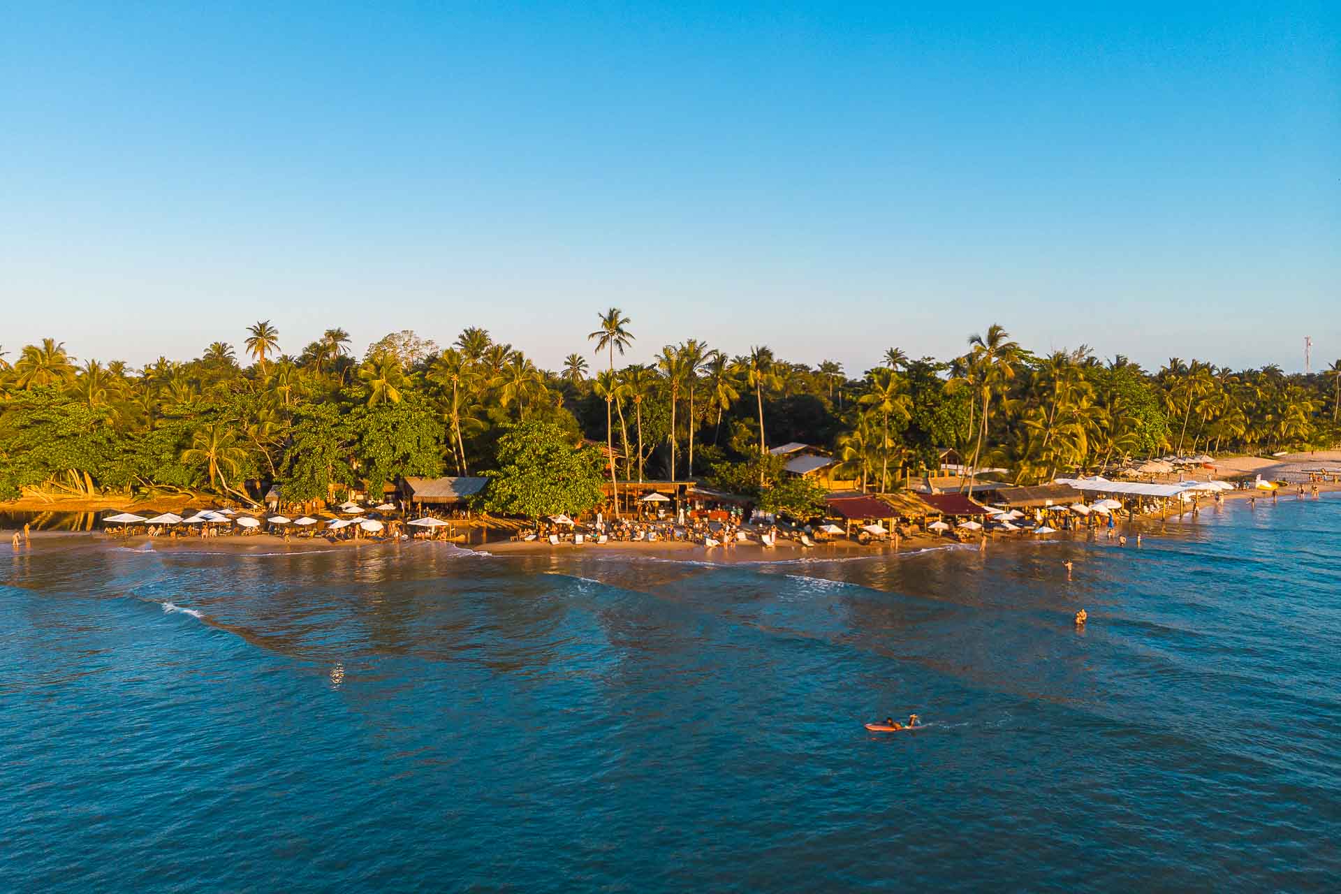 many bars by the beach in front a large forest and a blue sky