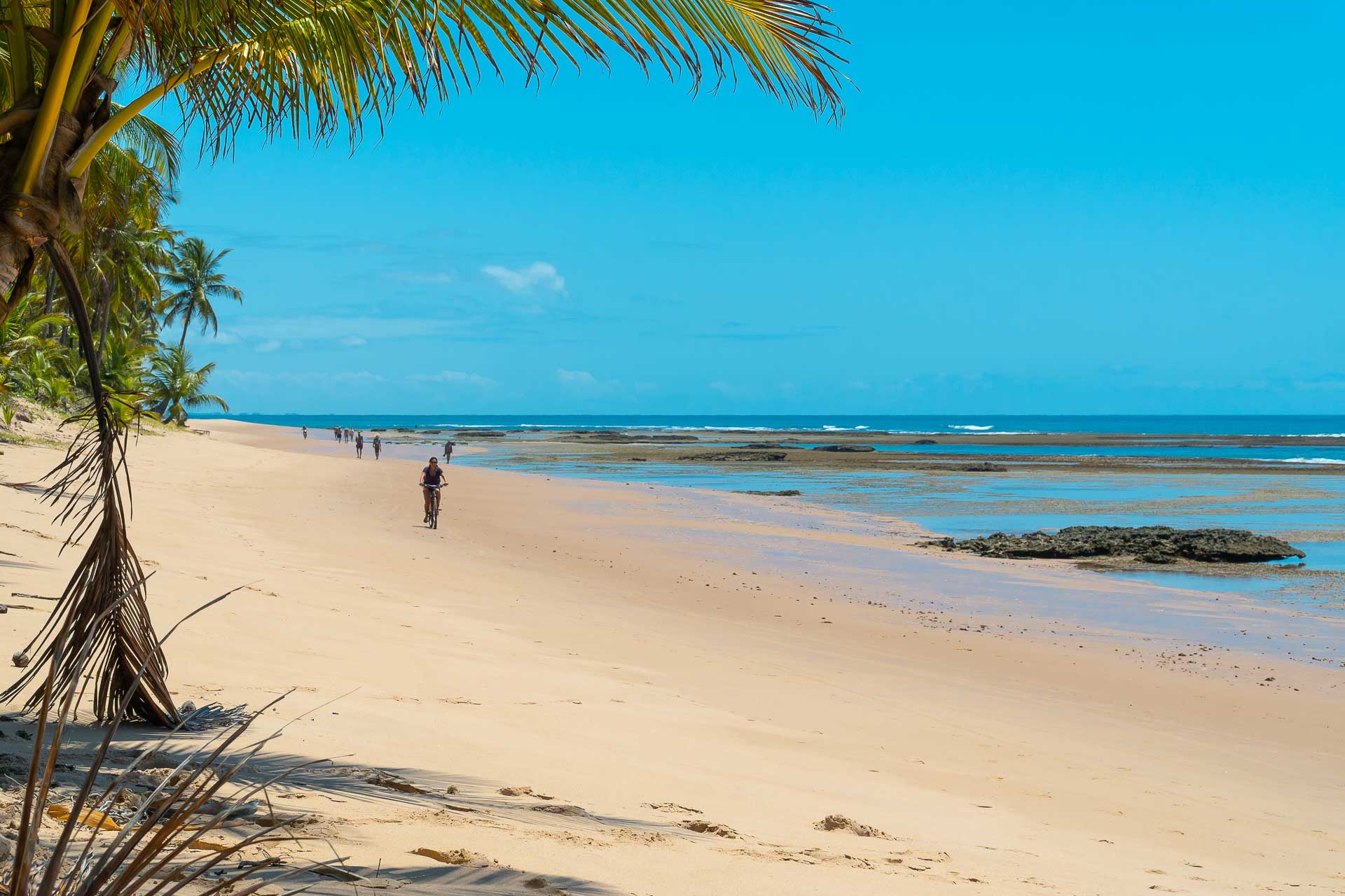 a white sand beach with corals and a blue sky