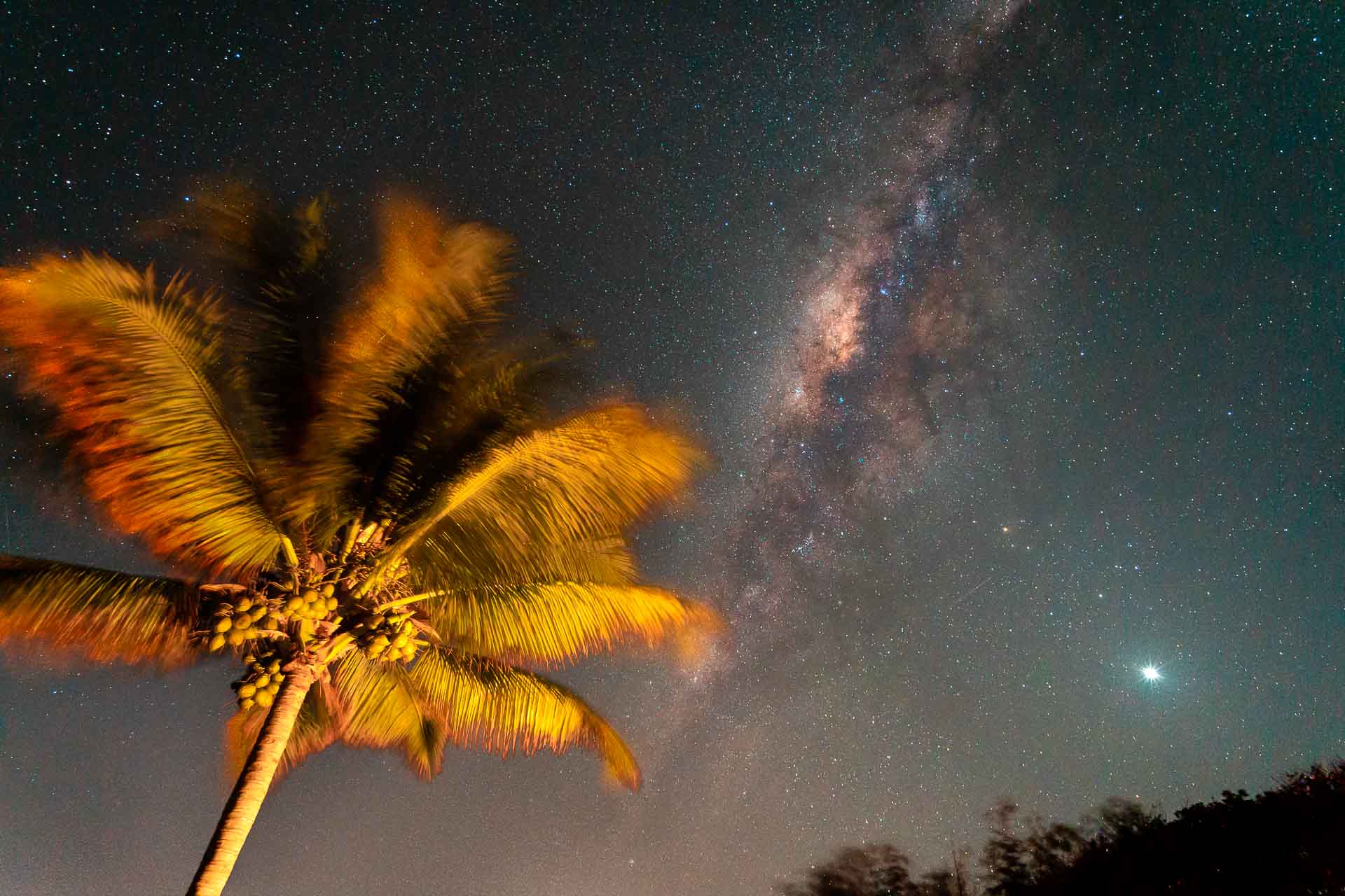 A via lactea e um coqueiro a noite no ceú da península de maraú