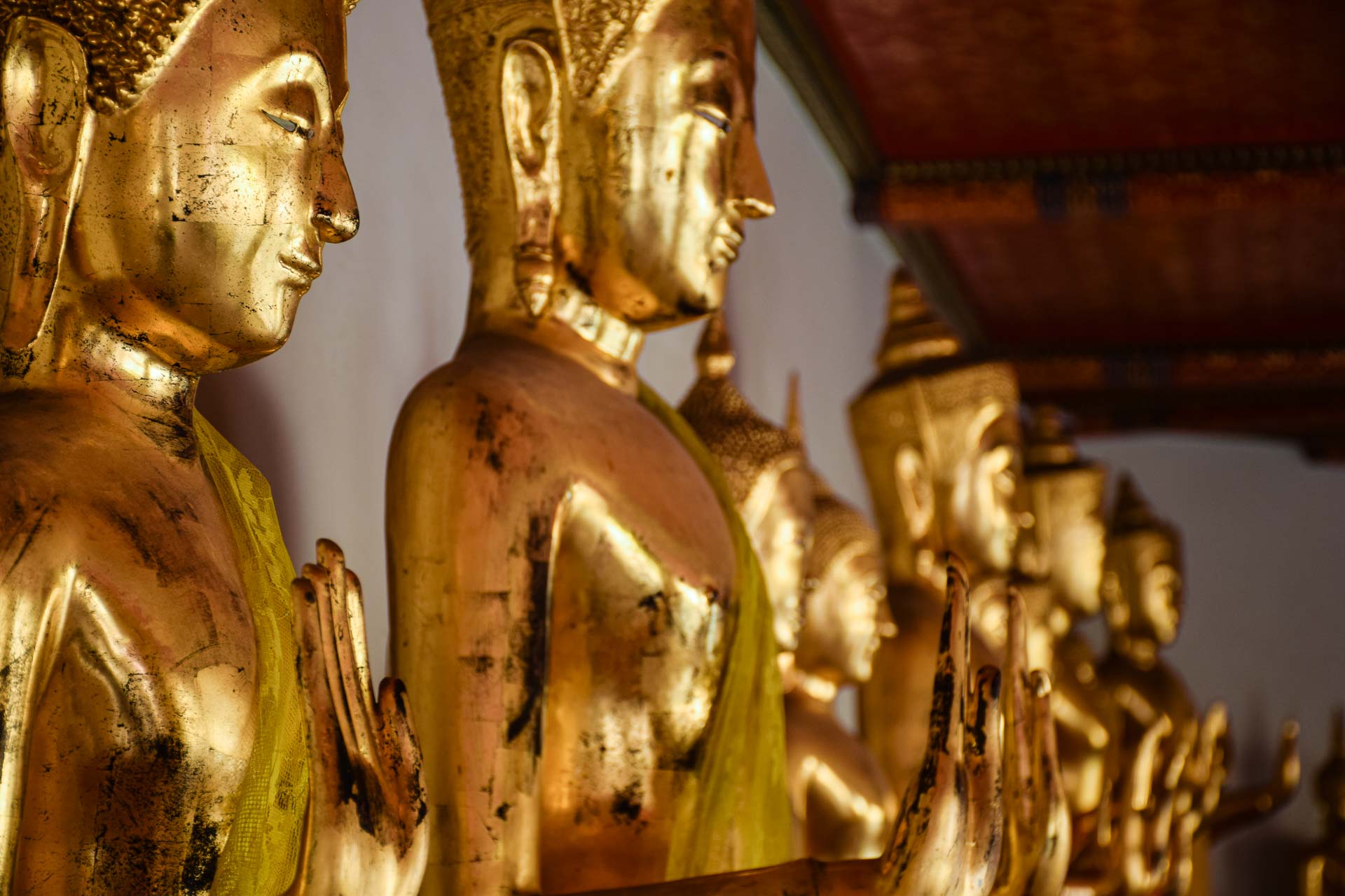 A line of golden Buddhas in a buddhist temple