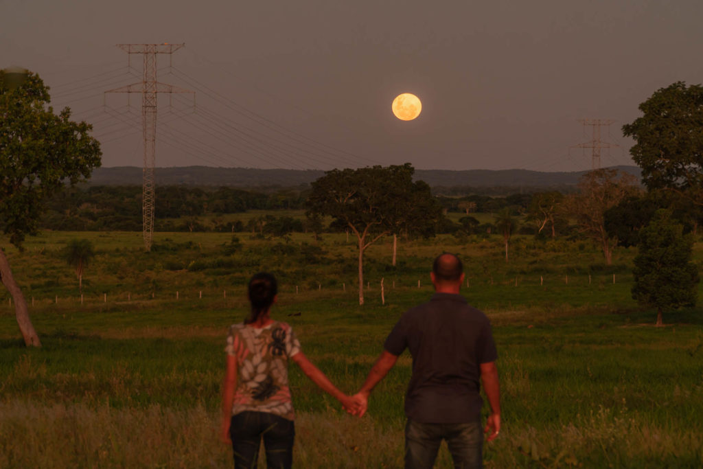 The moonrise in the Pantanal Brazil