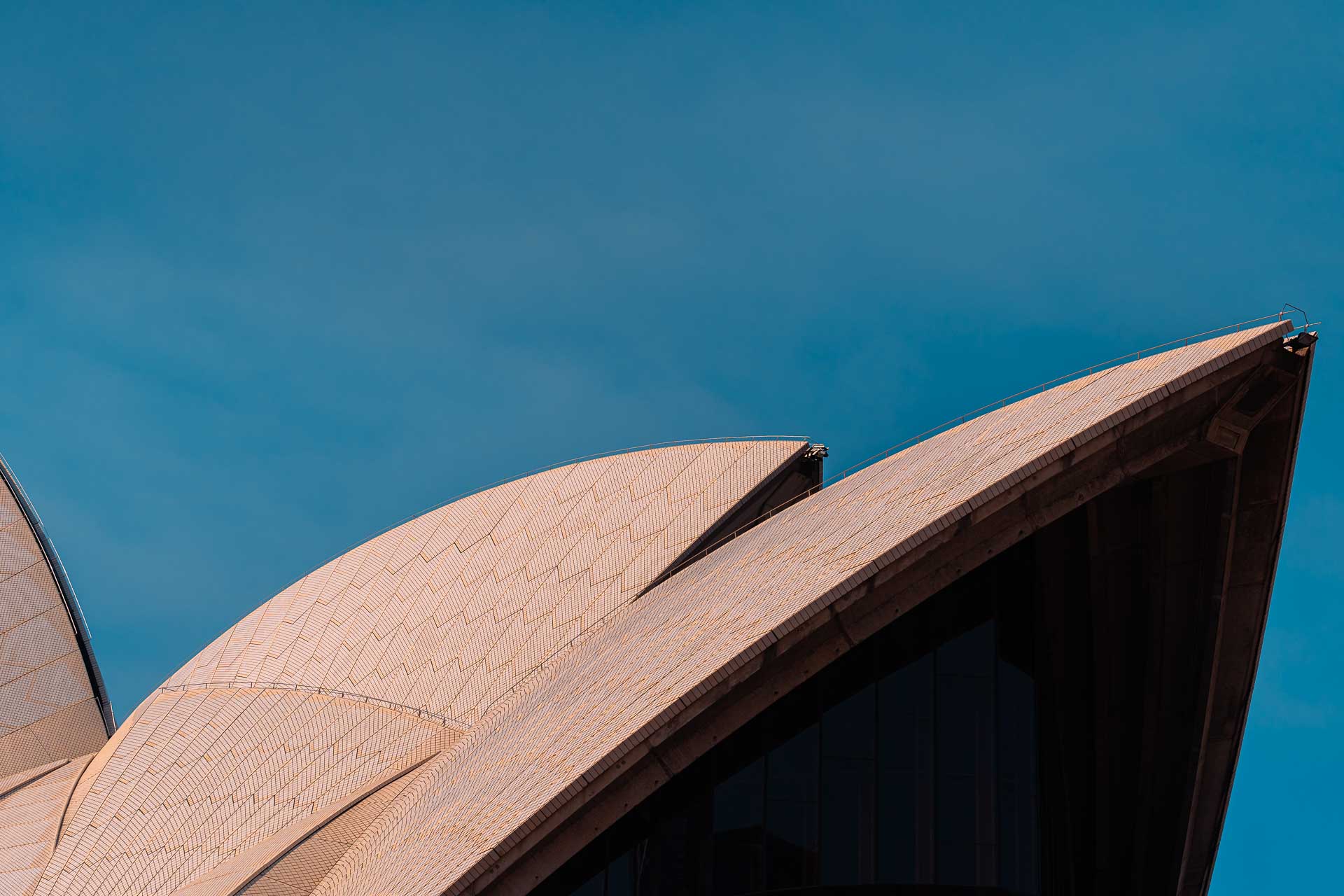 The roof with the thousand tiles, a cool fact on the Sydney Opera House