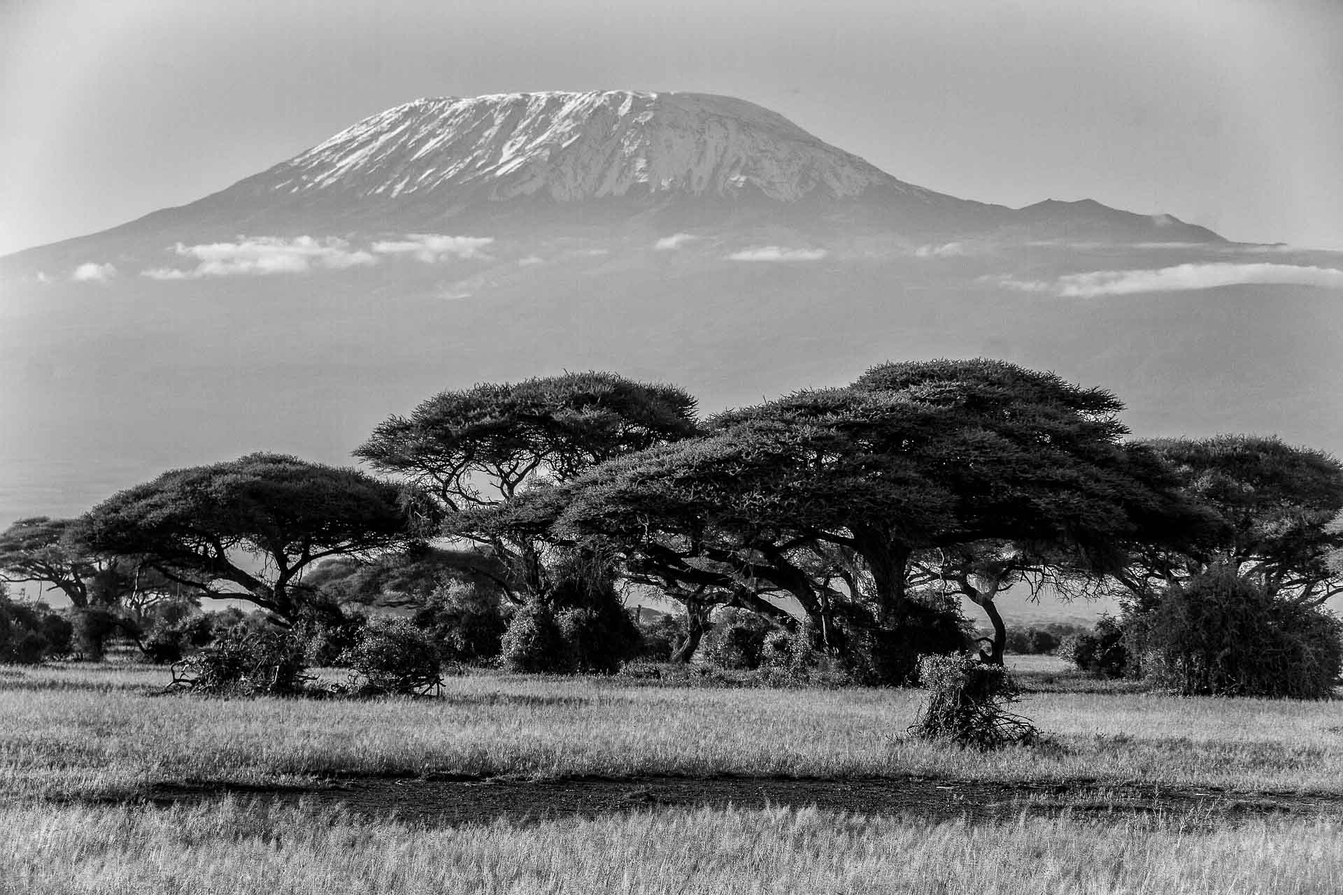 A black and white photo of the Kilimanjaro mountain in Tanzania